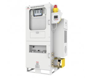 四方仪器 激光拉曼光谱气体分析仪LRGA-6000