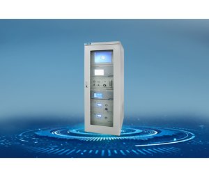 雪迪龙 环境空气非甲烷总烃在线监测系统AQMS-900VI/VII