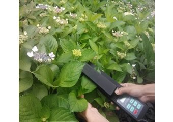 手持活体叶面积测量仪厂家-手持测量仪器