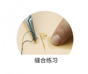 玉研仪器 缝合练习硅胶模块