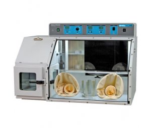 SHELLAB Bactrox低氧微氧箱