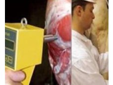 胴体肉质温度测定仪