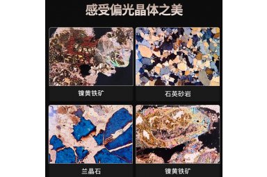 4K三目专业正交偏光显微镜晶体药材地质矿物鉴定NX30P-HK830