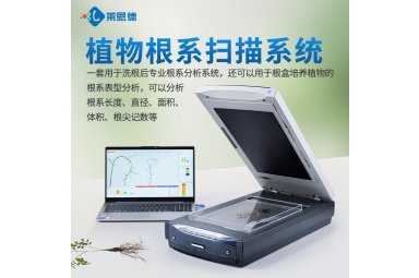 根系扫描仪 植物根系图像分析仪