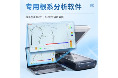 根系扫描仪 植物根系图像分析仪