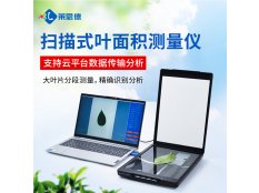 叶面积测量仪 叶片图像分析仪