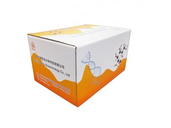 小鼠组织直接 PCR 试剂盒