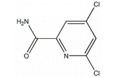 4,6-dichloro-pyridine-2-carboxylic acid aMide CAS号：98141-39-0 货号：T10413封面图
