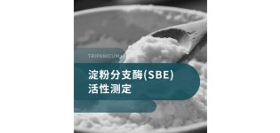 淀粉分支<em>酶</em>(SBE)<em>活性</em>测定