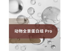 动物全景蛋白组 Pro