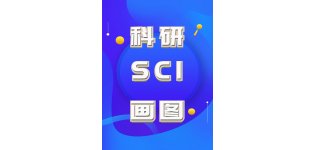 SCI科研绘图_流程图_通路图_模式图