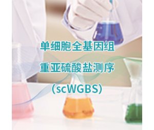 单微量细胞全基因组甲基化测序 (scWGBS)