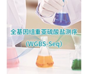 全基因组甲基化测序(WGBS)