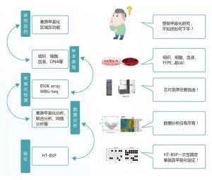 中康博生物推出DNA甲基化检测、分析、验证三合一服务!