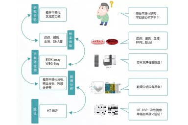 中康博生物推出DNA甲基化检测、分析、验证三合一服务!封面图