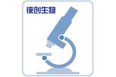 徕创生物基因定点突变服务价格低周期短封面图