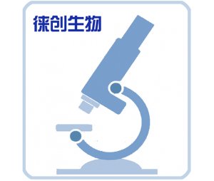 细胞毒性检测技术服务外包代做