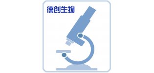双萤光素酶报告<em>基因</em><em>检测</em>技术服务<em>价格</em>低周期短