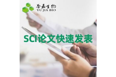 SCI论文投稿发表服务封面图