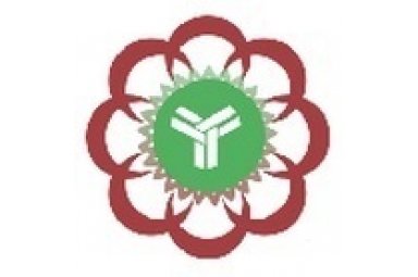 基因治疗临床前研究封面图