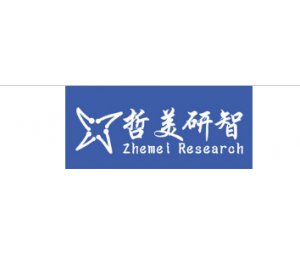 临床试验统计分析服务