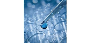 生化检测表达检测实验服务生物实验动物实验整体课题外包代做