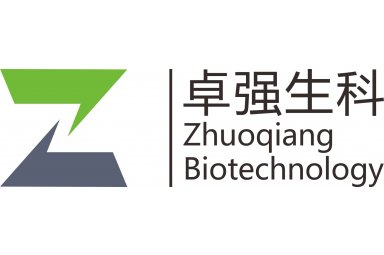 CT--平扫封面图