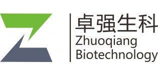 <em>CT</em>--增强