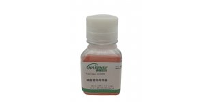 成脂细胞诱导