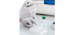 片段分析仪系统 CRISPR 试剂盒
