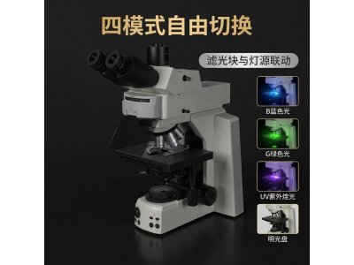 TL53 科研级微生物荧光显微镜 无限远色差校正高清显微观测设备