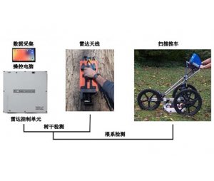 TRU树木雷达检测系统