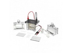 DLAB DL-Mini01 迷你型垂直电泳槽