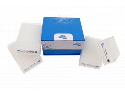 Bonnacats系列96孔萃取板