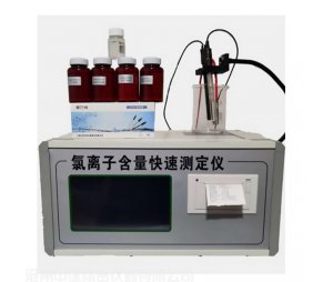 氯离子含量快速测定仪NJCL-B