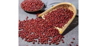 红豆<em>高</em>光谱数据采集