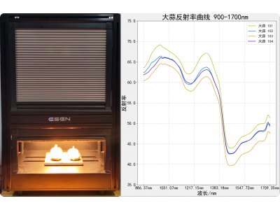 采集大蒜900-1700nm光谱数据（目的：辣度值、辣度评级）