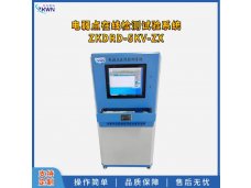 电弱点在线检测试验系统