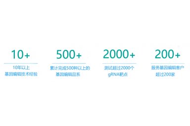 基因编辑技术服务平台（斑马鱼/猪）封面图