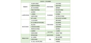 表型分析