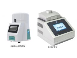 分子生物学分析