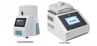 分子生物学分析