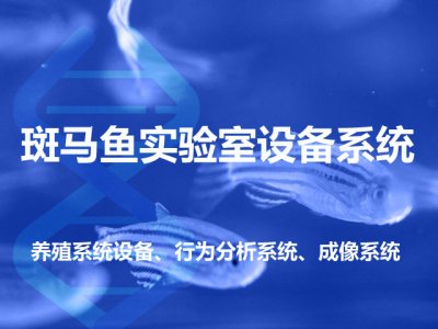 斑马鱼水质急性毒性监测能力建设服务方案