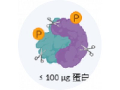 微量磷酸化+全蛋白组联合检测方案