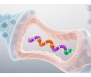 免疫肽组学检测方案