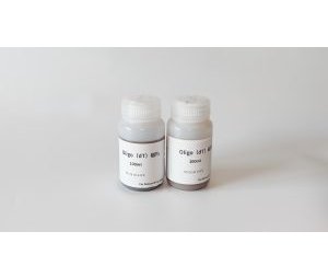 Oligo(dT)25磁性微球