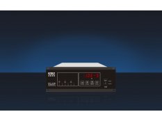 ZDR-12/0B6真空计