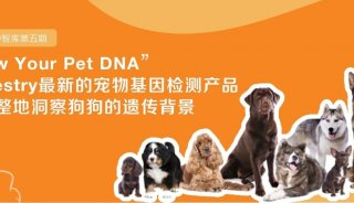 生物育种智库第五期| “Know Your Pet DNA” -Ancestry最新的宠物基因检测产品更完整地洞察狗狗的遗传背景