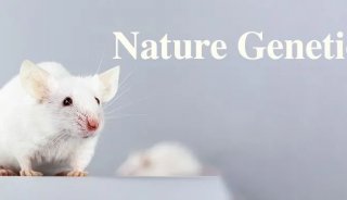 Nat Genet | 浙江大学郭国骥/韩晓平团队揭示小鼠发育及成熟细胞图谱及细胞命运决定的共性调控机制