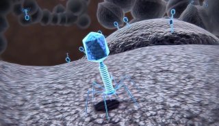 【探访实验室】加州大学欧文分校利用噬菌体对抗 ESKAPE 感染